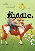 The Middle: Season 7 DVD