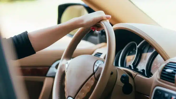 Steering Wheel Cover
