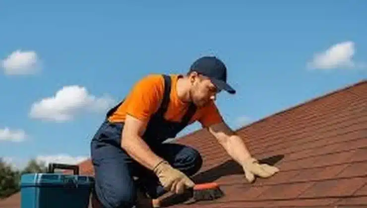 Roof Maintenance