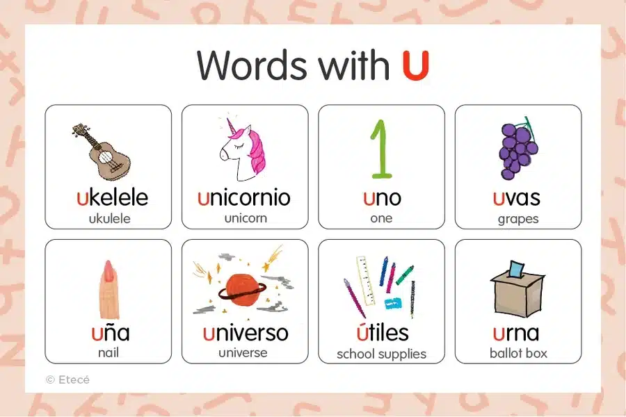 Words in Spanish That Start With U