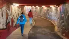 Society Collide