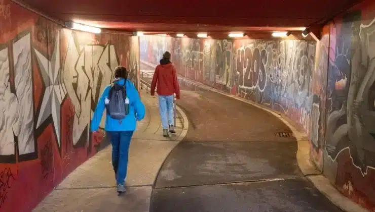 Society Collide