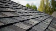 Asphalt Roofing Shingles